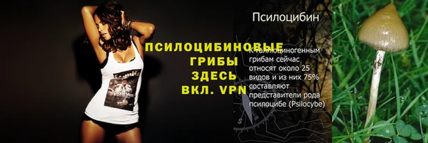 хмурый Волосово
