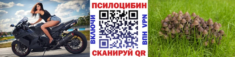 Купить закладки  Видное  Галлюциногенные грибы ЛСД 
